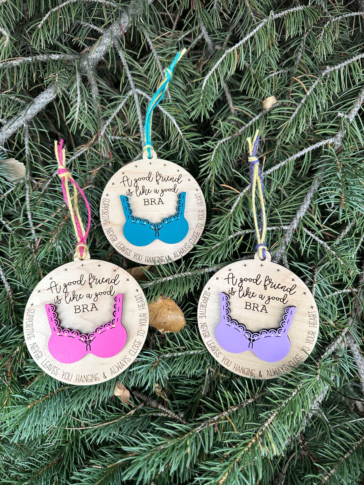 Good Friends Are Like A Good Bra